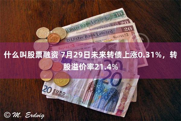 什么叫股票融资 7月29日未来转债上涨0.31%，转股溢价率21.4%