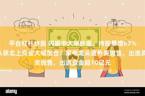 平台杠杆炒股 闪崩中大举抄底，持股暴增67%，元器件龙头获北上资金大幅加仓！家电龙头遭外资抛售，出逃资金超10亿元