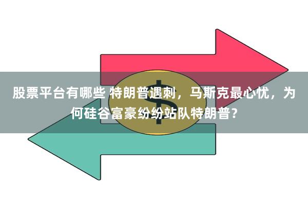 股票平台有哪些 特朗普遇刺，马斯克最心忧，为何硅谷富豪纷纷站队特朗普？