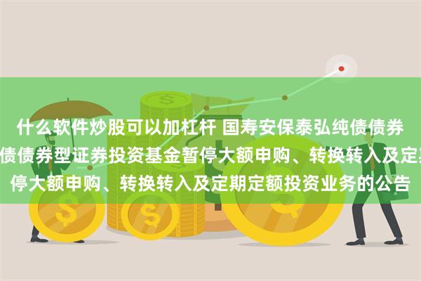 什么软件炒股可以加杠杆 国寿安保泰弘纯债债券: 关于国寿安保泰弘纯债债券型证券投资基金暂停大额申购、转换转入及定期定额投资业务的公告