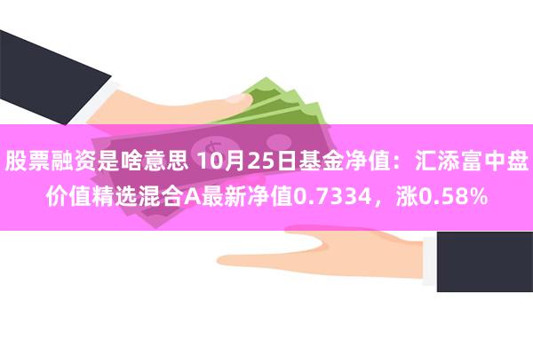 股票融资是啥意思 10月25日基金净值：汇添富中盘价值精选混合A最新净值0.7334，涨0.58%