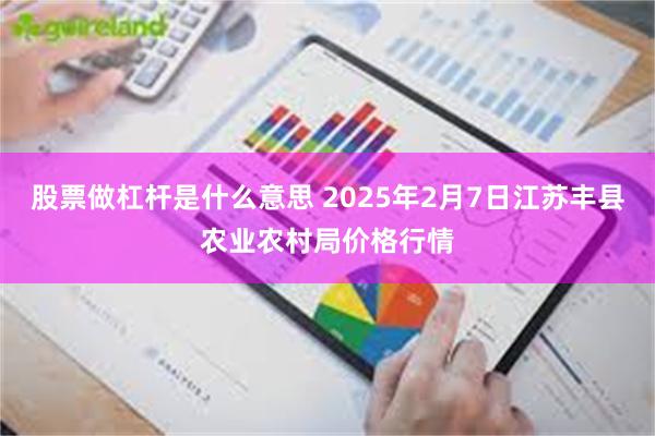 股票做杠杆是什么意思 2025年2月7日江苏丰县农业农村局价格行情